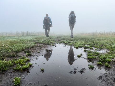 Two people walking across a fog-covered field, with their reflection in a shallow puddle
