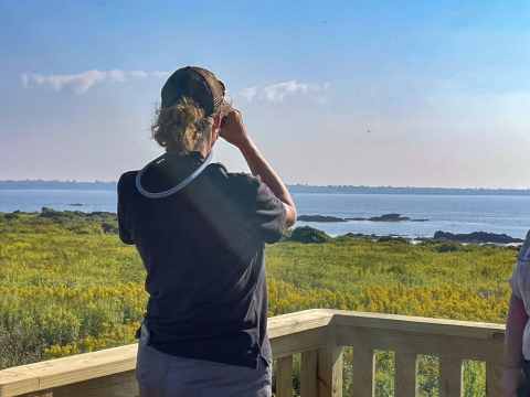 A person in a black shirt and gray pants, standing on a wooden platform looks away from the camera through binoculars, at green vegetation, the ocean, and blue sky.