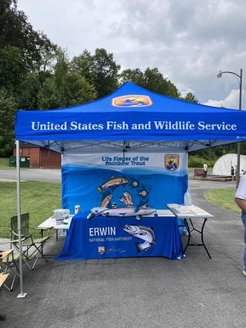 USFWS canopy tent set up at Erwin National Fish Hatchery. The tent has a display showing the lifecycle of rainbow trout, and tables showing various outreach materials such as stuffed animals and coloring sheets.
