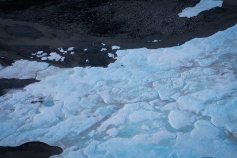 An aerial photo of an ice sheet, blue and white, extending right to left over black rock. A tiny black spot, resting atop the ice, represents a bear.
