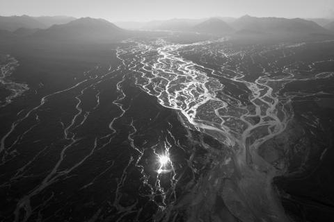 A black and white, aerial photo of a braided river on the Coastal Plain