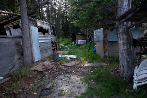 A color photo of Chief Rhonda Pitka's grandmother's fish camp, which has been abandoned for four years due to a lack of salmon on the Yukon River. Buildings are weather-beaten, some laying across the grass while small belongings are strewn on the ground. Boards and metal sheets lay askew beneath the deep green trees.