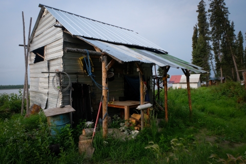 A color photo of Chief Rhonda Pitka's smokehouse, which has been empty for four years due to a Chinook salmon shortage on the Yukon River, which flows just a few feet away. A slanted metal sheet roof extends over a wooden house frame as tall grass grows around it.