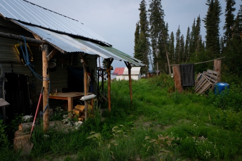 A color photo of Chief Rhonda Pitka's smokehouse, which has been empty for four years due to a Chinook salmon shortage on the Yukon River, which flows just a few feet away. A slanted metal sheet roof extends over a wooden house frame as tall grass grows around it.