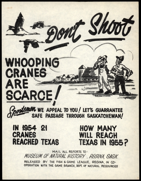 Whooping crane public awareness poster that reads "Don't Shoot, Whooping cranes are Scarce!"