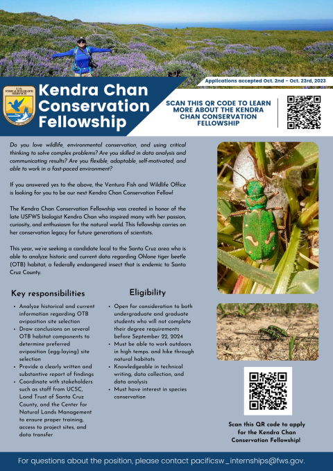 A flyer of an internship called the Kendra Chan Conservation Fellowship