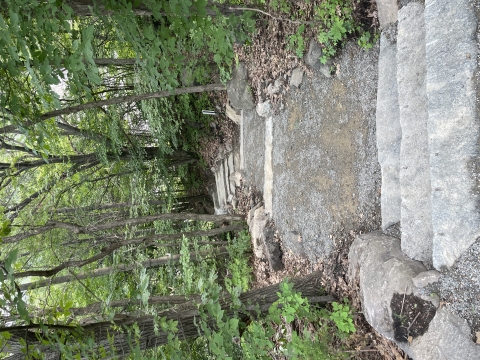 A trail with stone steps descends into a forest