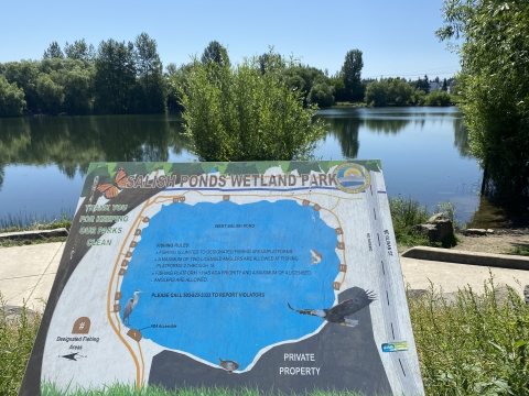 Educational display showing a map of Salish Ponds Wetland Park, overlooking Salish Pond