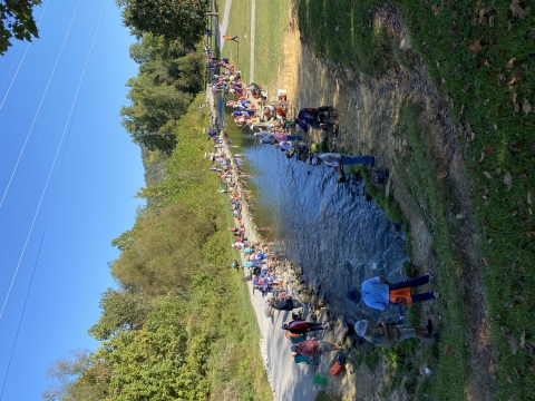 A stream lined with people