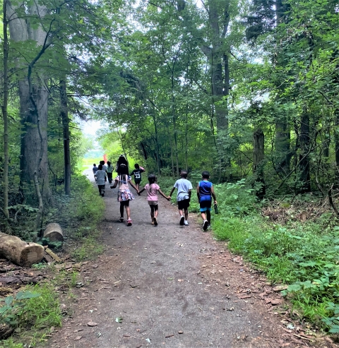 a group of children walk side by side on a forest trail