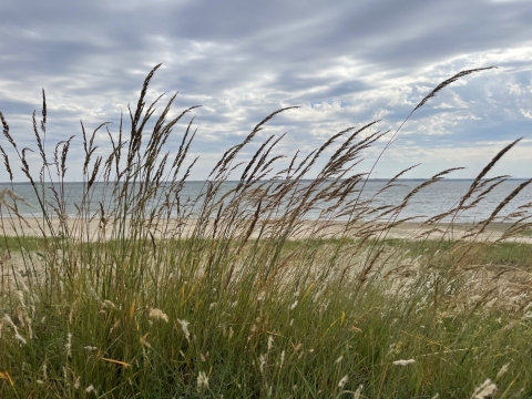 Shore of Kirwin Reservoir