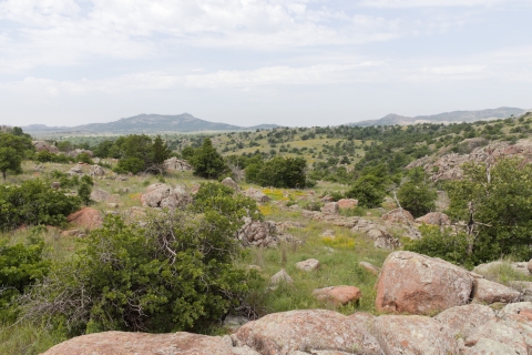A landscape of scrubby oaks, boulders, and prairie flowers.