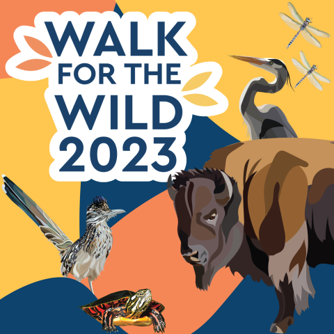 Walk for the Wild 2023 logo with representative wildlife 