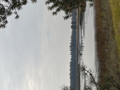 Youth waterfowl hunting unit low water conditions and mudflats. Picture facing southeast into the unit. 