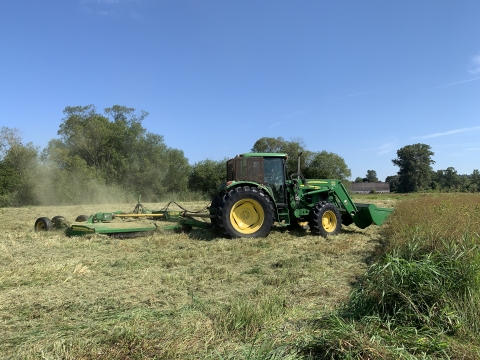 Mowing a field of grass with a tractor.