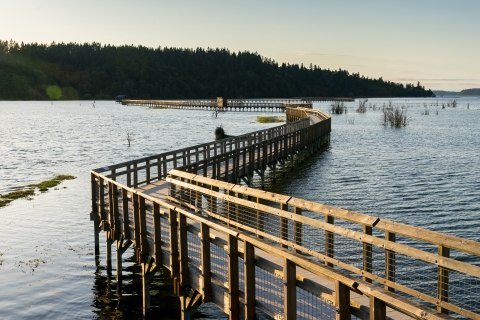 A long boardwalk winds back and forth across tidal water.