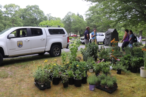 About twenty to thirty potted plants varying in size, shape, and flowers are spread out on the grass. Parked next to them is a white truck with the U.S. Fish and Wildlife Service logo. Being the plants four adults stand nearby a headstone. 