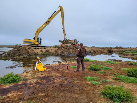 A person in USFWS uniform watches a big-scale restoration project in Humboldt Bay refuge using heavy equipment.