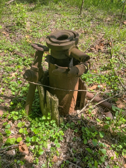 An orphaned well, a thick metal cylinder with a hole in the top, outside in a patch of plants