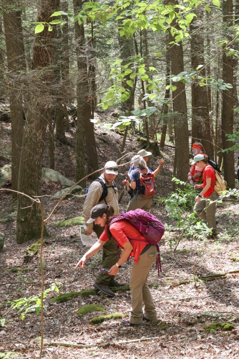 A young woman in a red shirt, khaki pants and a U.S. Fish and Wildlife Service Hat points to the ground in the forest. She carries a large purple backpack. Nearby other staff and volunteers traverse the woods looking down at the ground. 