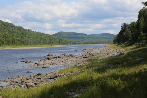A wide shallow river flows through the green mountains of Maine.