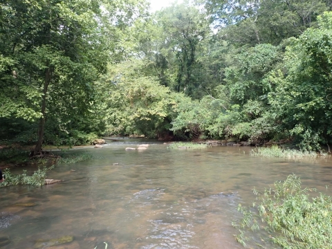 About Dam Time! | U.S. Fish & Wildlife Service