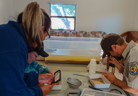 Biologists sort through trays of sand and use microscopes and magnifying glasses to find tiny snails within, with a plastic enclosure filled with muddy water and sand in the backround.