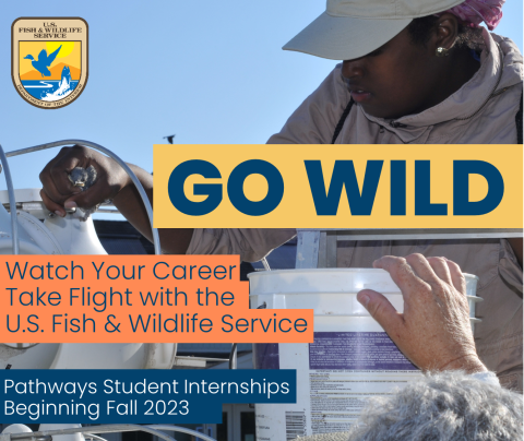 Biology intern tests water quality 