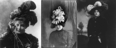 Historical photos of three women wearing bird plume hats.