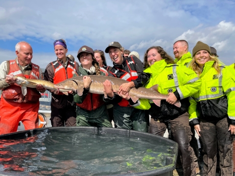 A group of people holding a large fish stand in front of a tank of water.