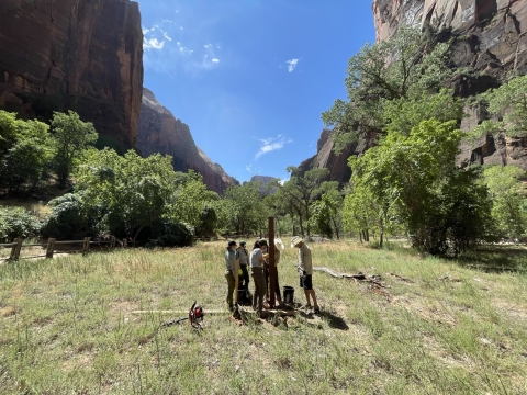 group of people standing around a wooden pole surrounded by grass, trees, and rocky cliff walls