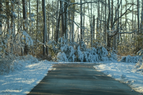Snow has arrived