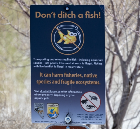 a sign saying don't ditch a fish