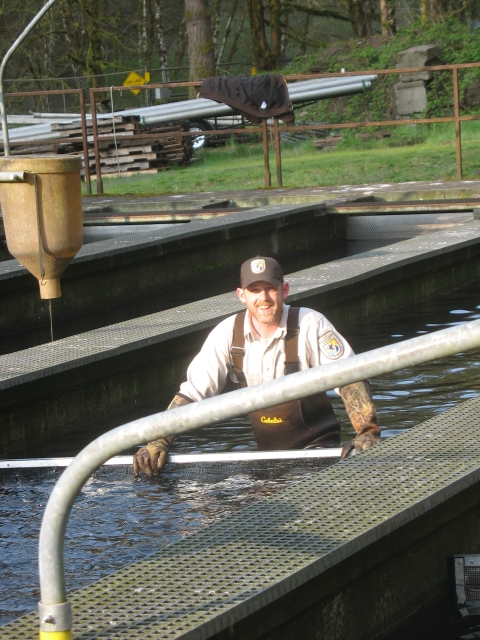A man standing hip deep in water at a hatchery facility wears waders, gloves, and a hat while smiling at the camera.