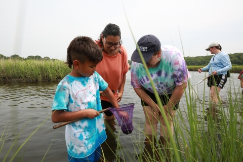 a kid reaches into a crab net in a salt marsh while two adults watch