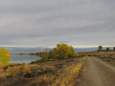 Hiker walking along a gravel trail and looking across some dry grasses and sagebrush toward a lake. In the foreground is a small tree with yellow and green leaves. In the distance are more trees along the shoreline.