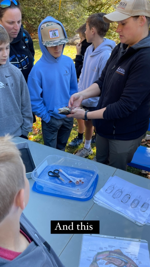 trout dissection
