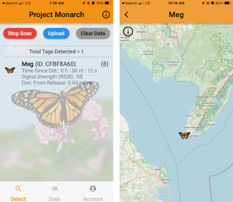 Phone screenshots showing Project Monarch Application