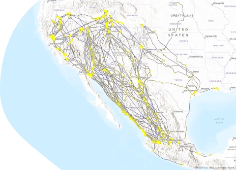 Lines on this map show flight paths, and yellow indicates where the birds spent time on the ground