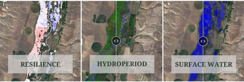 Three images showing an example of the Wetland Evaluation Tool modules: Resilience, Hydroperiod, and Surface Water
