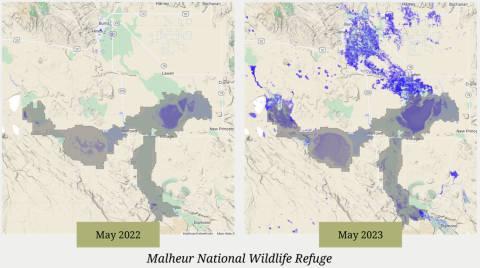 Map visualization showing the surface water levels at Malheur National Wildlife Refuge from May 2022 and May 2023 from the Wetland Evaluation Tool App