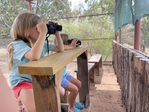 Children learning to use binoculars for bird identification.