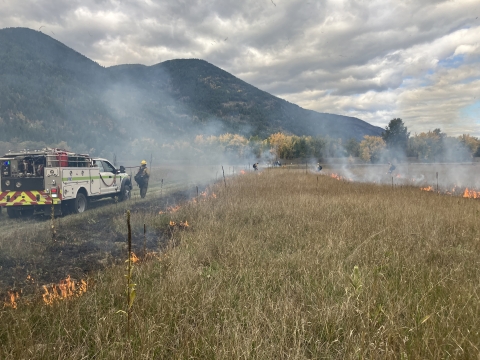 A FWS fire truck and wildland firefighters stand next to two lines of prescribed fire in long grass.