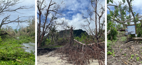 Blocked roads, fallen trees and debris from Typhoon Mawar at Guam National Wildlife Refuge.