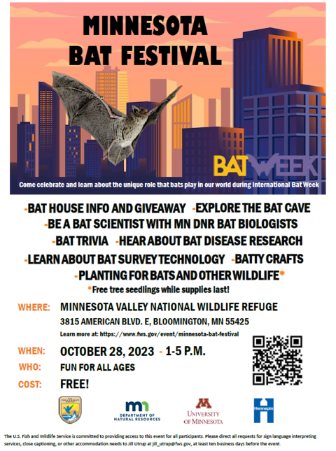 Bat festival poster