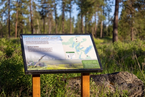 Photo of an informational panel placed at a trailhead next to a pine forest