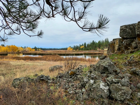 View of a wetland in fall, framed against a basalt rock outcropping