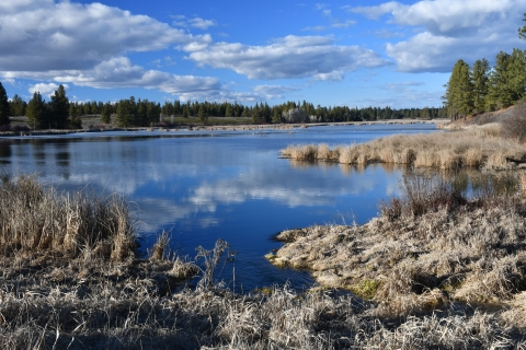 Clouds reflect on the still surface of a small lake. Trees seen in the distance.