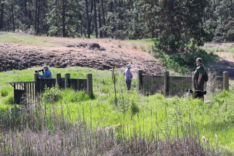 A group of people standing next to some railing along a trail. Some carry cameras; one holds the leash of a dog.