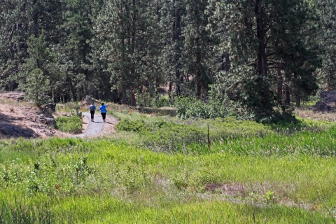 Two people walk a paved path between some trees and a field
